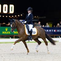 Strandgaards Do It My Way