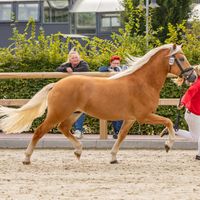 Stetson vor dem Moore