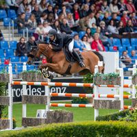 Vaillant de Belle Vue