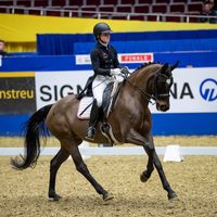 Belle au Bois Dormant