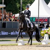 Straight Horse Leonardo