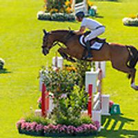 Astronomic V. Legita Hof Z