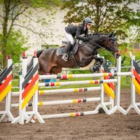 Lady Royal Cleopatra