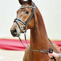 Freiherr von Stein/T. / Rio Tejo