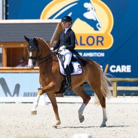 Hexagon's Nachtwacht