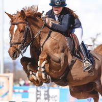 Galaxie de Verduizant