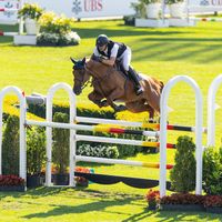 Rebel van 't Zomerhof