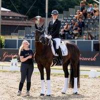 Ferdinand de Fontaine