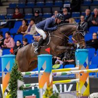 Havel van de Wolfsakker Z