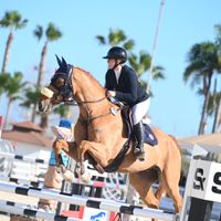 Scento Du Piedroux Z