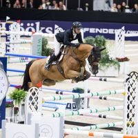 Consulent de Prelet Z