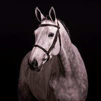 Milady de La Pomme Z