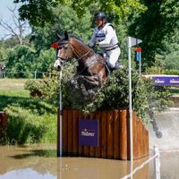 Lady Chin v't Moerven Z