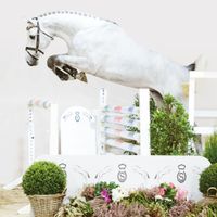 Hengst von Casino Berlin X Cornet Obolensky