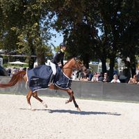 Risk Taker Van't Meulenhof