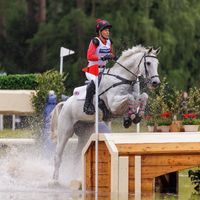 Creevagh Silver de Haar