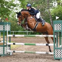 Duchess van de Theke