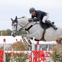 QH Sole Mio Santo Antonio