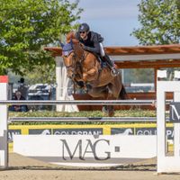 Qatar JW Van't Meulenhof