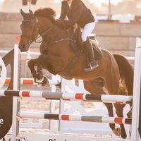 Cornet's Curt Cobain SB