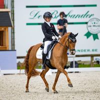 Lyngdal's Mira Puella