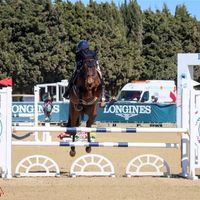 Napardi Vd Kruisselbrink