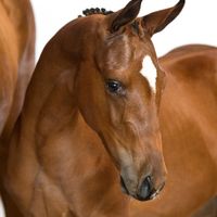 Endless Beautifull Re Z