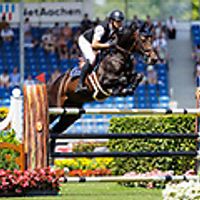 SPECIAL CERA DU MAILLET Z