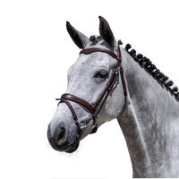 Camargo V/D Holstenhoeve