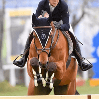 Nico Chicco van de Padenborre