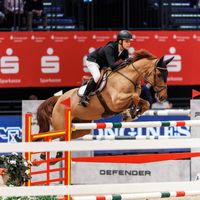 Equine America Billy Take That