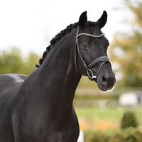 Birkhof's Fair Game OLD