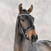 Franklin / Belissimo M