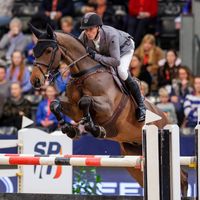 Napoli vh Nederassenthof