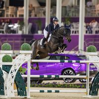 King Kong d'Avifauna