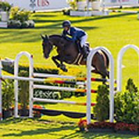 Leopard Des Joanins Z