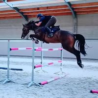 Vitamine D'elifine Z