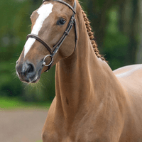 SANTORINI V/D SPELONCK