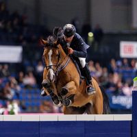 Livingstone van het Peggershof