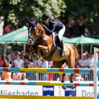 Portobella van de Fruitkorf