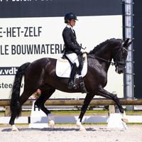 Reliv van 't Amaryllishof