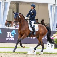 Quater Sand del Pinar