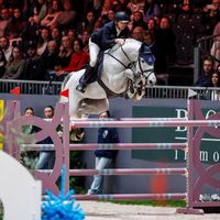 Picobello van't Roosakker