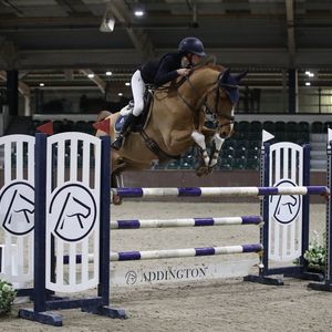 Senior Newcomers Championship - First Round / Senior 1.10m Open ...