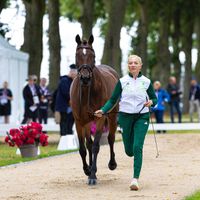 Sportsfield Freelance