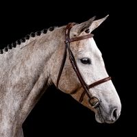 Marthe D'ecaussinnes