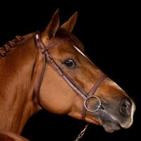 Porsche van Stestavi