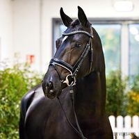 Despacito / Bon Coeur