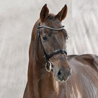 Diablue Ps / Quattro B