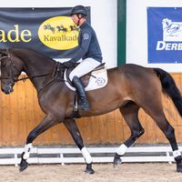 Label D´ Expression